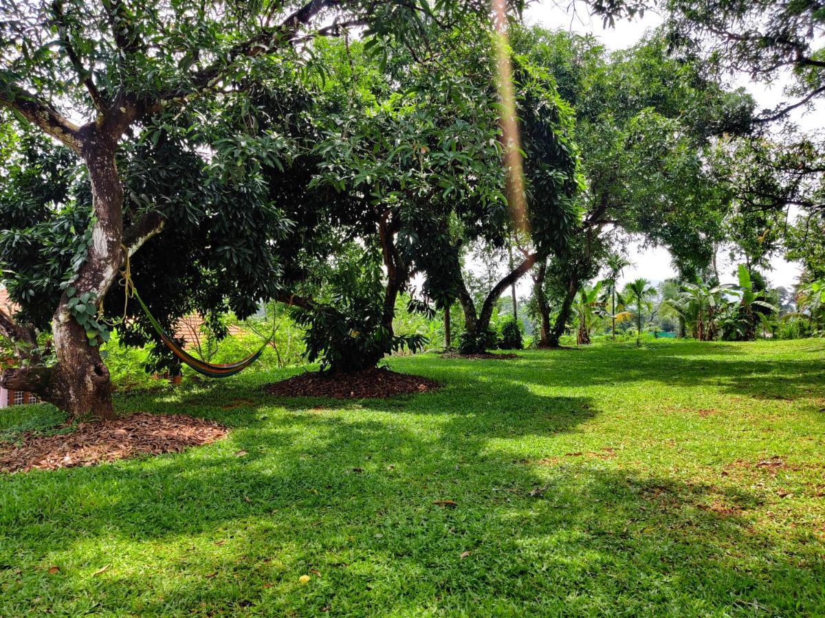 Carmel Tourism Village Kotamangalam Eksteriør bilde